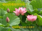 ֹ,ϴ󷨵ӹףʦ(25)