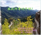 法轮功,唐山大法弟子恭祝师尊新年好(31条)