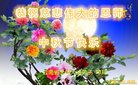 ֹ,ϴ󷨵ӹףʦ(18)