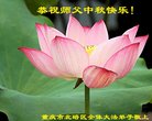 法轮功,重庆大法弟子恭祝师尊中秋好(26条)