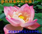 ֹ,󷨵ӹףʦ(22)
