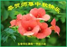 ֹ,󷨵ӹףʦ(20)