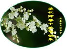 ֹ,󷨵ӹףʦ(20)