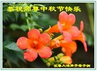 ֹ,󷨵ӹףʦ(20)