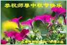 ֹ,󷨵ӹףʦ(20)