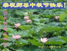 ֹ,󷨵ӹףʦ(24)