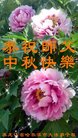 ֹ,󷨵ӹףʦ(19)
