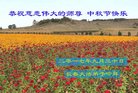 ֹ,󷨵ӹףʦ(20)