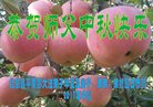 ֹ,󷨵ӹףʦ(22)
