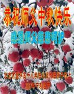 ֹ,󷨵ӹףʦ(22)