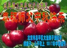 ֹ,󷨵ӹףʦ(22)