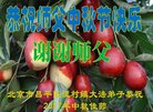 ֹ,󷨵ӹףʦ(22)