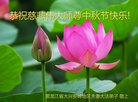 ֹ,󷨵ӹףʦ(22)