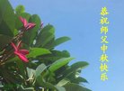 法轮功,广东大法弟子恭祝师尊中秋好(24条)