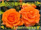 ֹ,󷨵ӹףʦ(24)