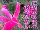 ֹ,󷨵ӹףʦ(21)