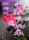 ֹ,󷨵ӹףʦ(21)
