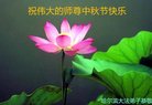 ֹ,󷨵ӹףʦ(19)