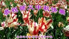 ֹ,󷨵ӹףʦ(20)