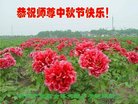 ֹ,ϴ󷨵ӹףʦ(22)