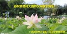 ֹ,󷨵ӹףʦ(29)