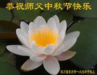 ֹ,ɶ󷨵ӹףʦ(26)
