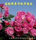 ֹ,󷨵ӹףʦ(21)