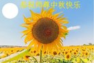 ֹ,ൺ󷨵ӹףʦ(25)