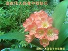 ֹ,󷨵ӹףʦ(22)