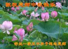 ֹ,д󷨵ӹףʦ(22)