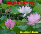 ֹ,ʡ󷨵ӹףʦ(25)