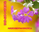 ֹ,󷨵ӹףʦ(22)