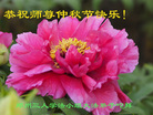 法轮功,郑州大法弟子恭祝师尊中秋好(26条)