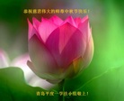 ֹ,ൺ󷨵ӹףʦ(25)