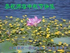 法轮功,沈阳大法弟子恭祝师尊中秋好(29条)
