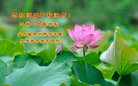 ֹ,д󷨵ӹףʦ(23)