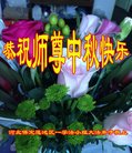 ֹ,󷨵ӹףʦ(24)