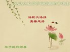 ֹ,󷨵ӹףʦ(23)