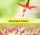 ֹ,մ󷨵ӹףʦ(23)