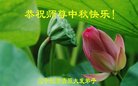 ֹ,󷨵ӹףʦ(29)