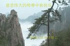 法轮功,朝阳市大法弟子恭祝师尊中秋好(23条)