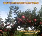 ֹ,ʴ󷨵ӹףʦ(24)
