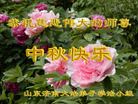 ֹ,ϴ󷨵ӹףʦ(25)