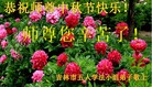 ֹ,д󷨵ӹףʦ(22)