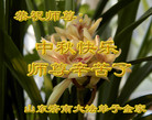 ֹ,ϴ󷨵ӹףʦ(25)