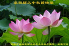 ֹ,人󷨵ӹףʦ(24)