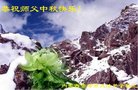 ֹ,ɹŴ󷨵ӹףʦ(26)
