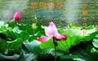 ֹ,人󷨵ӹףʦ(24)