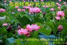 ֹ,󷨵ӹףʦ(25)