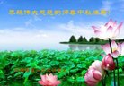ֹ,󷨵ӹףʦ(31)